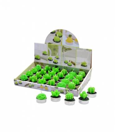 LOTE 24 VELAS CACTUS