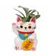 Maceta de Cerámica para Plantas - Gato de la Suerte