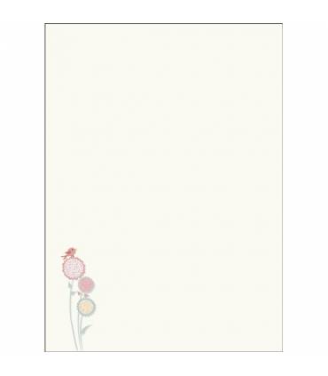 ÁLBUM COMUNIÓN-NIÑA